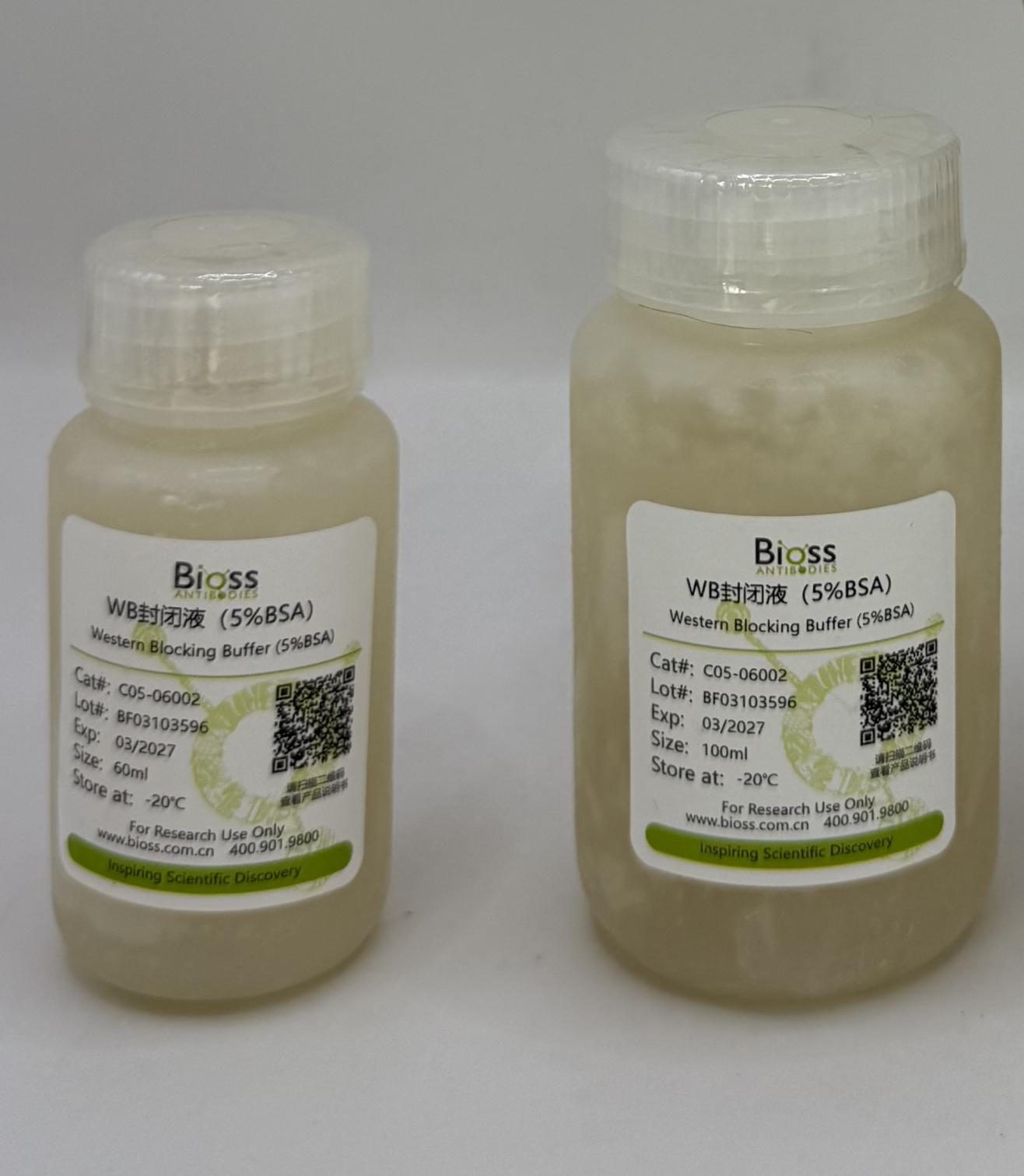 WB封闭液（5%BSA）-C05-06002