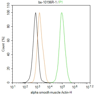 肌动蛋白α/α-SMA/α Actin抗体-bs-10196R