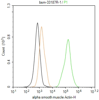 肌动蛋白α/α-SMA/α Actin重组兔单抗-bsm-33187R