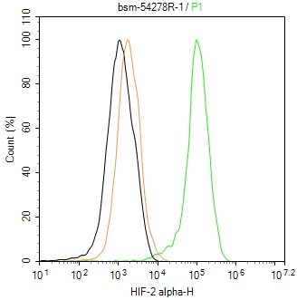 缺氧诱导因子2α/EPAS1重组兔单抗-bsm-54278R