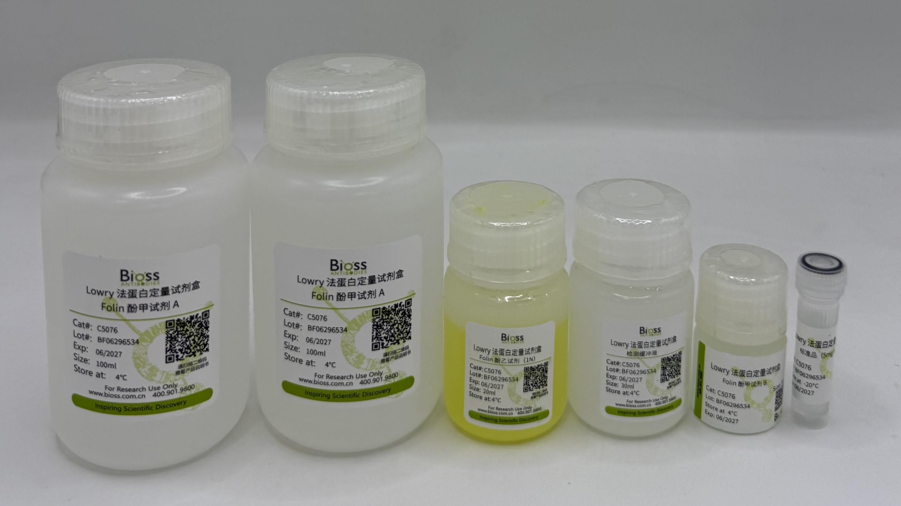 Lowry法蛋白浓度测定试剂盒（1000T）-C5076